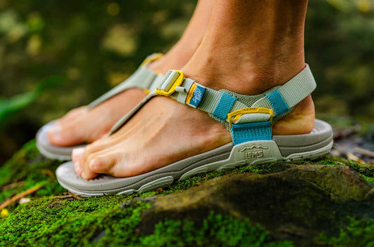 Dame Switchback Sandal Knit - Ivy