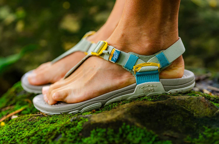 Dame Switchback Sandal Knit - Ivy
